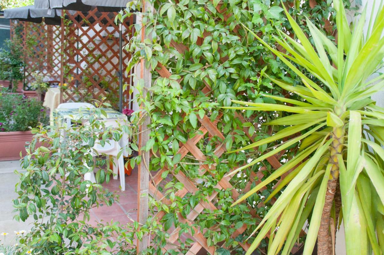 B&B Sikily Naxos Giardini Naxos Bagian luar foto